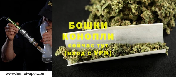 крисы Рославль